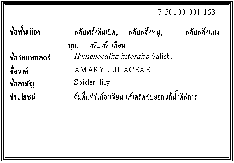 กล่องข้อความ: 7-50100-001-153 ชื่อพื้นเมือง : พลับพลึงตีนเป็ด, พลับพลึงหนู, พลับพลึงแมงมุม, พลับพลึงเตือน ชื่อวิทยาศาสตร์ : Hymenocallis littoralis Salisb. ชื่อวงศ์ : AMARYLLIDACEAE ชื่อสามัญ : Spider lily ประโยชน์ : ต้มดื่มทำให้อาเจียน แก้เคล็ดขับยอก แก้น้ำดีพิการ